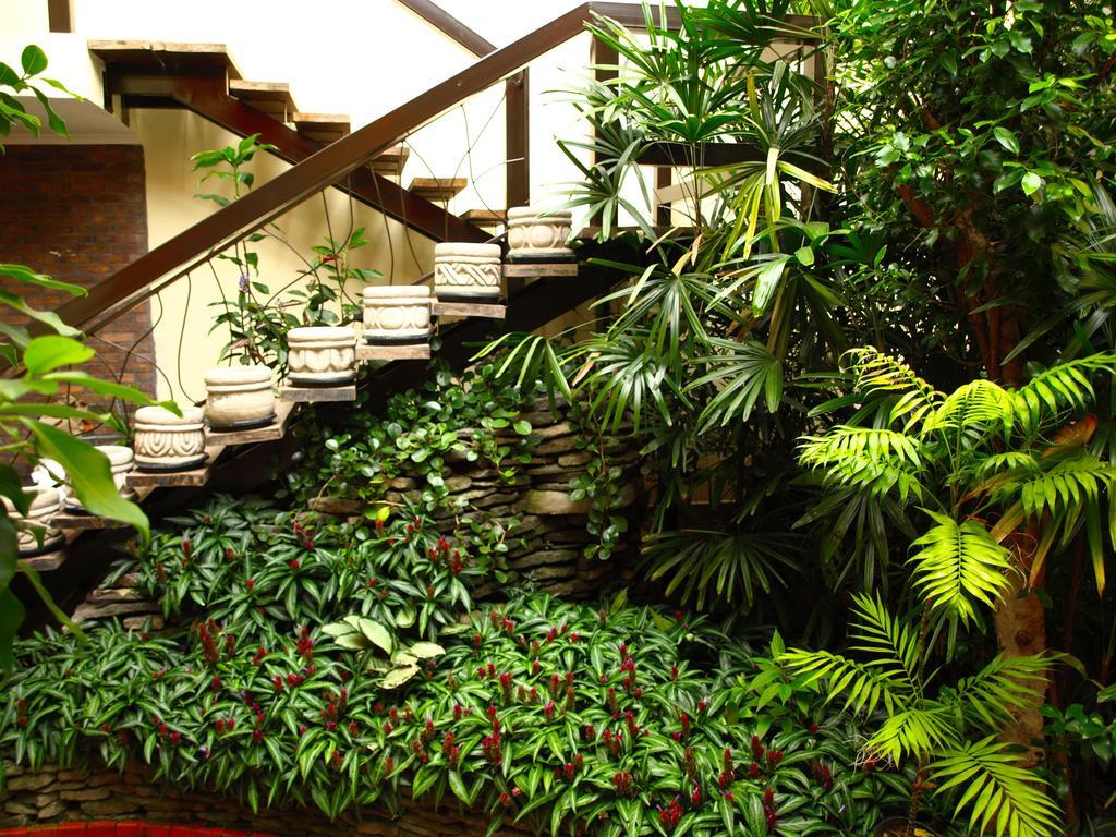 Hotel The Palm House Inn ซานโฮเซ ภายนอก รูปภาพ