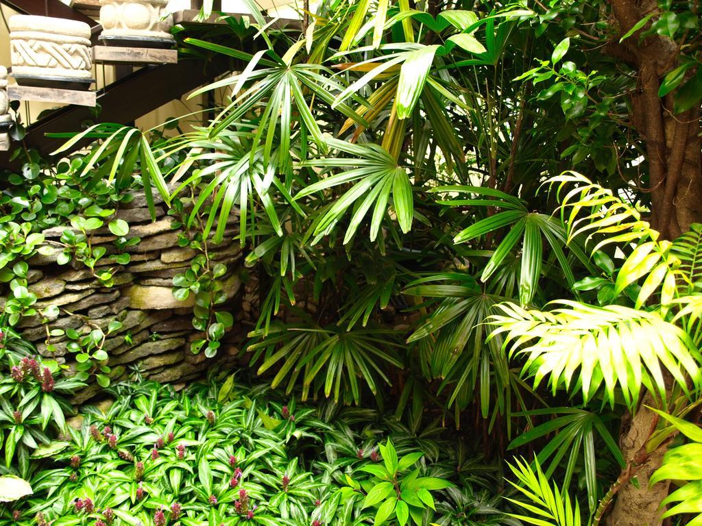 Hotel The Palm House Inn ซานโฮเซ ภายนอก รูปภาพ