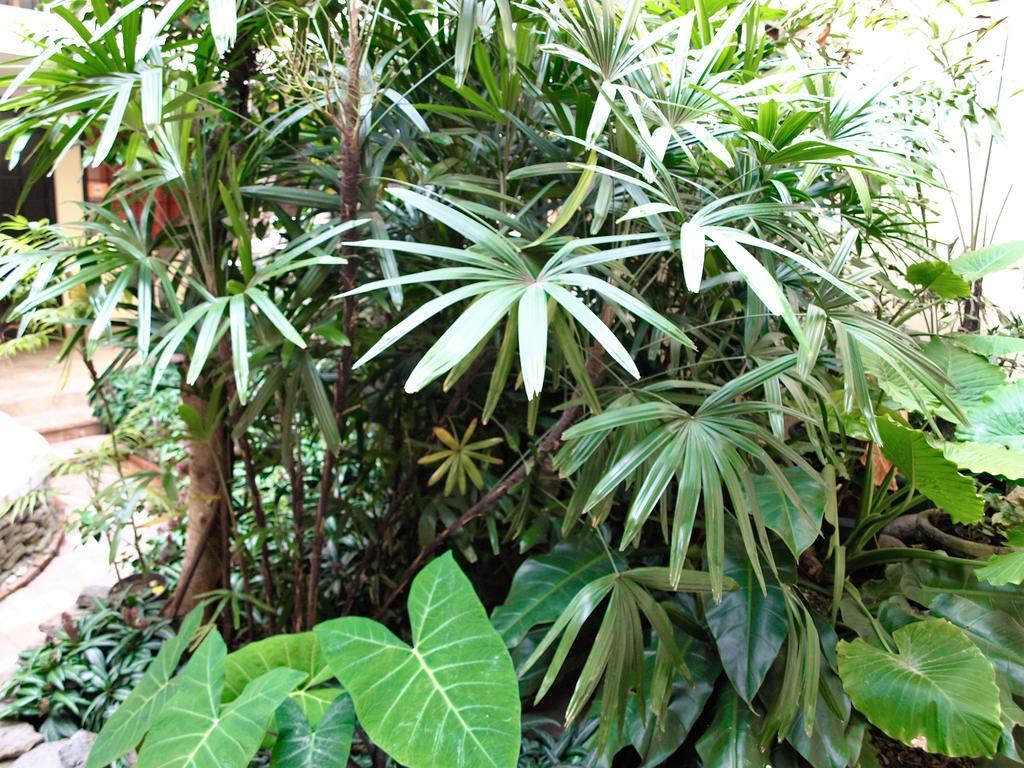 Hotel The Palm House Inn ซานโฮเซ ภายนอก รูปภาพ